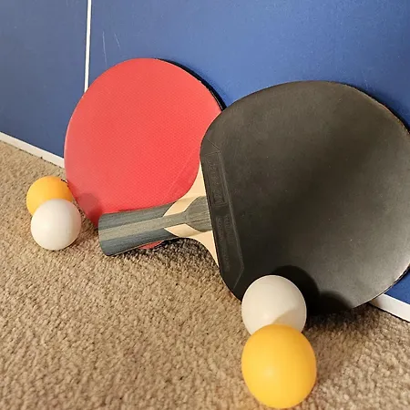 Dom Z Ogrodem Na Wylacznosc W Super Cenie * Gdansk