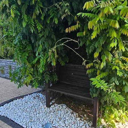 Dom Z Ogrodem Na Wylacznosc W Super Cenie Gdansk